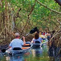 Kayaking & Canoeing