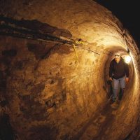 Beer & Brewery Tours
