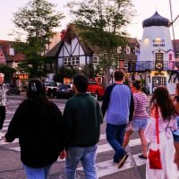 Cultural & Theme Tours