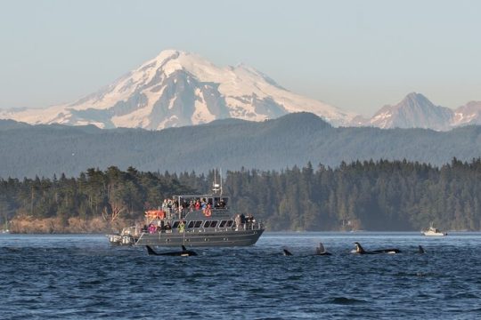 New Year’s Eve in San Juan Islands