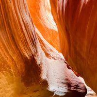 Luxury Tours