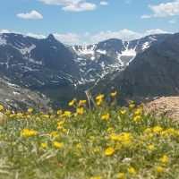 Full-day Tours