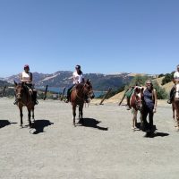 Luxury Tours
