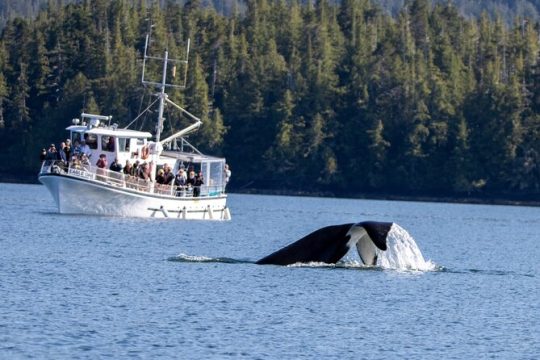 Labor Day in Ketchikan