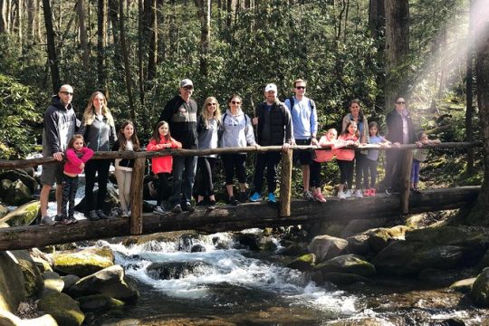 MLK Day in Great Smoky Mountains National Park