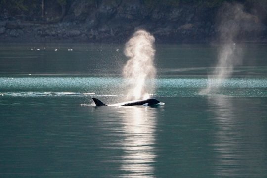 4th of July in San Juan Islands