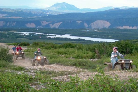 New Year’s Day long weekend in Denali National Park