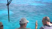 Turtle watching