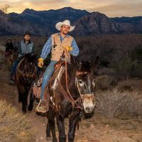 Horseback Riding