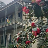 Architecture Tours