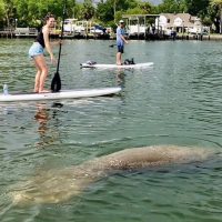 Stand Up Paddleboarding
