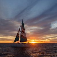 Sunset Cruises