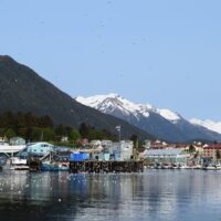 Bus & Minivan Tours