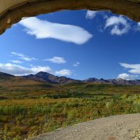 Tours & Sightseeing