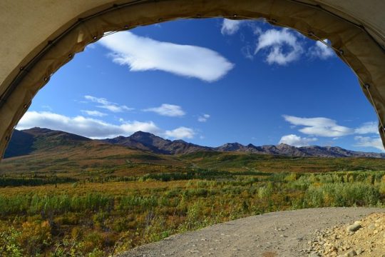 Veteran's Day in Denali National Park