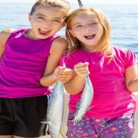 Boat Tours
