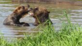 A fun way to spend a day in Anchorage