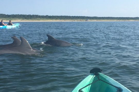 Labor Day in Virginia Beach
