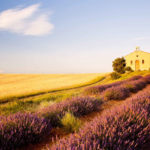 Beyond Languedoc-Roussillon