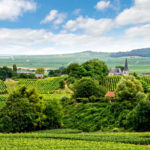 Top Reims activities