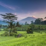Beyond Bali