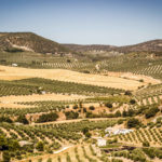 Top Spain activities