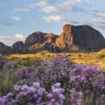Top Texas activities