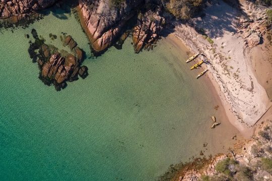 Halloween in Coles Bay