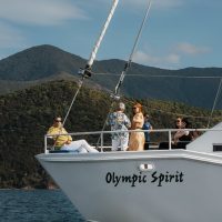 Cruises, Sailing & Water Tours