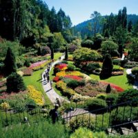 Audio Guided Tours