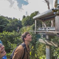Eco Tours