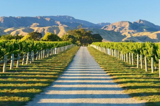 Easter in Blenheim