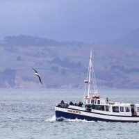 Luxury Tours