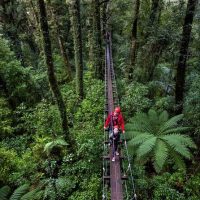 Photography Tours