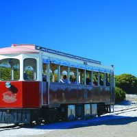 Cultural & Theme Tours