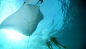 Exceptional dive centre