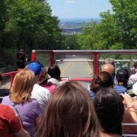 Hop-on Hop-off Tours