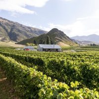 Wine Tasting & Winery Tours