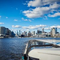 Boat Tours