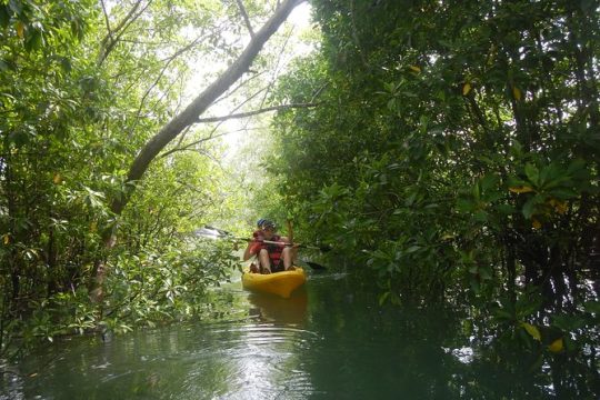 Halloween in Pulau Ubin