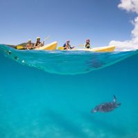 Kayaking & Canoeing
