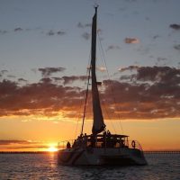 Luxury Tours