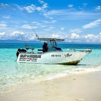 Private Sightseeing Tours