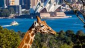 Taronga Zoo