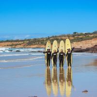 Surfing Lessons