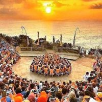 Bus & Minivan Tours