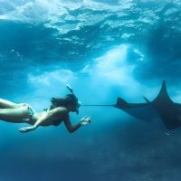 Private & Custom Tours