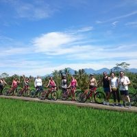 Eco Tours