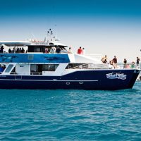 Cruises, Sailing & Water Tours