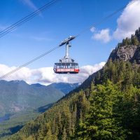 Cultural & Theme Tours